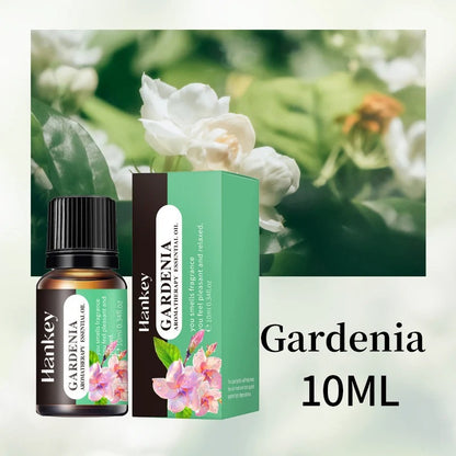Yinsho essensial oils 10 mL